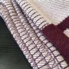 Hermes Brick Avalon Blanket - Image 2