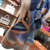Hermes Blue Della Cavalleria Shawl - Image 5