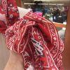 Hermes Red Peuple du Vent Bandana Shawl - Image 2