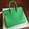 Hermes Bamboo Clemence Birkin 25cm Handmade Bag - Image 4