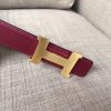 Hermes Mini Constance Belt Buckle & Ruby Epsom 24 MM Strap - Image 3
