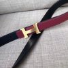 Hermes Mini Constance Belt Buckle & Ruby Epsom 24 MM Strap - Image 4