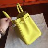 Hermes Soufre Epsom Birkin 25cm Handmade Bag - Image 5