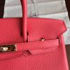 Hermes Bougainvillier Clemence Birkin 25cm Handmade Bag - Image 7
